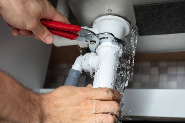 Best Mold removal after water damage  in Limestone, IL