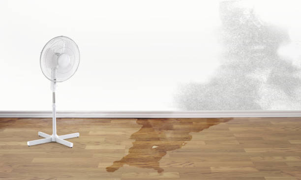 Best Sewage cleanup and water damage restoration  in Limestone, IL