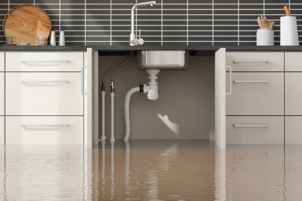 Best Emergency water damage restoration  in Limestone, IL