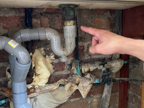 Best Fire Damage Restoration  in Limestone, IL