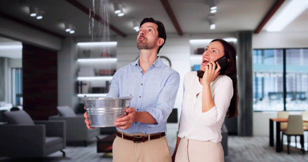 Best Ceiling water damage repair  in Limestone, IL